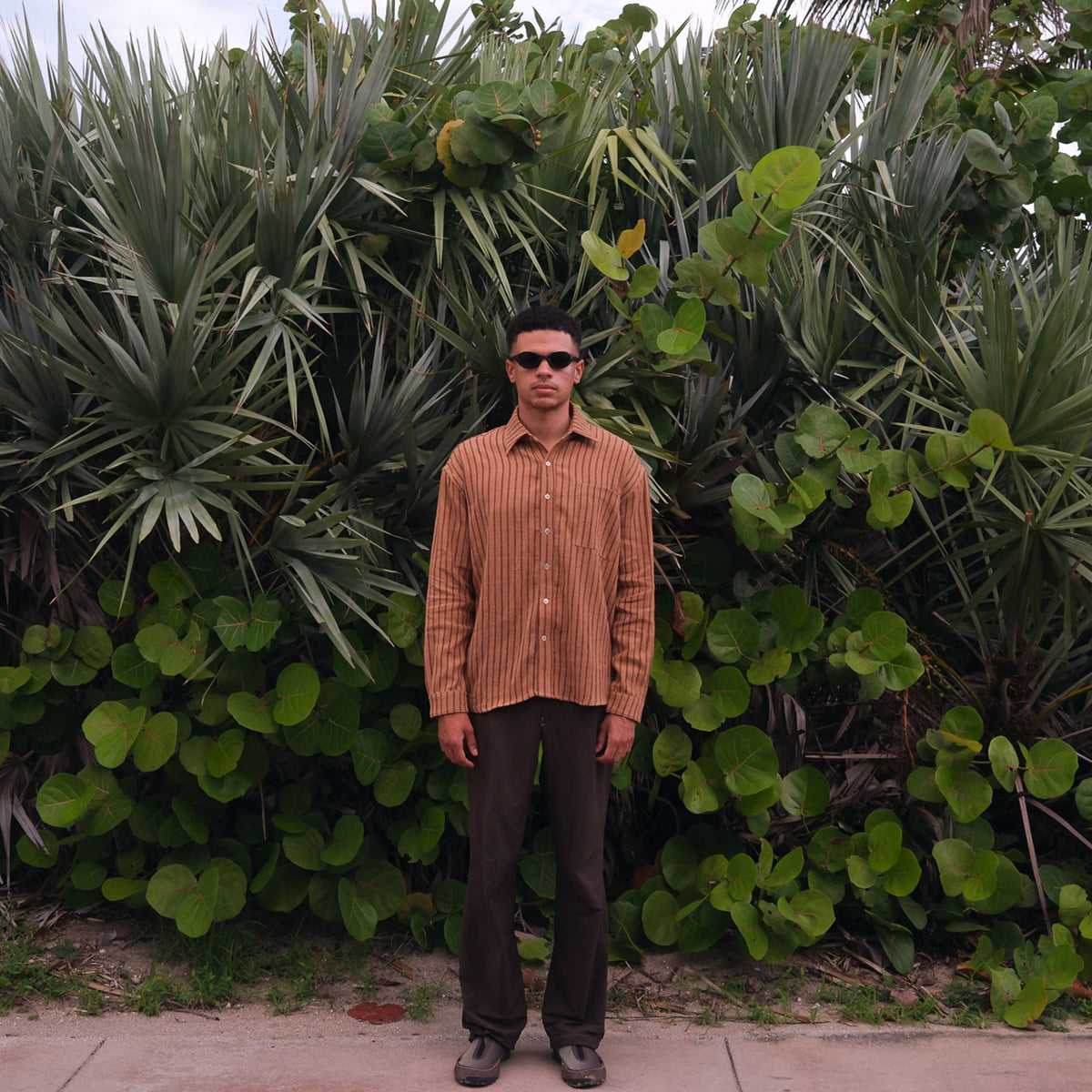 Brown Cotton + Catechu