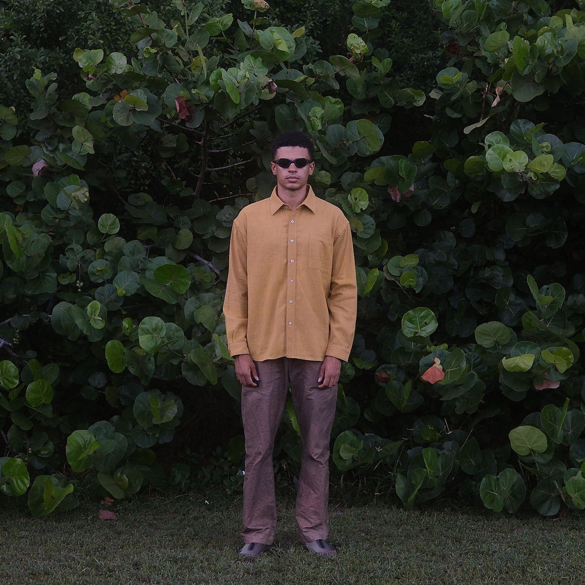 Brown Cotton + Turmeric